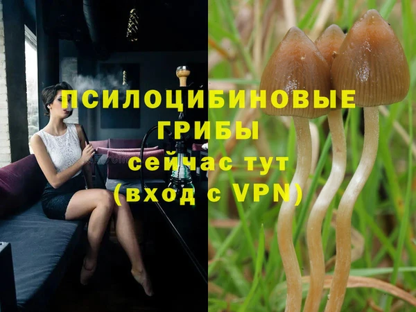 гашик Алзамай