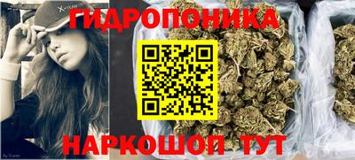 дурь Заводоуковск