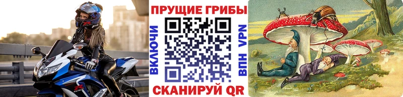 Галлюциногенные грибы мицелий  Мирный 