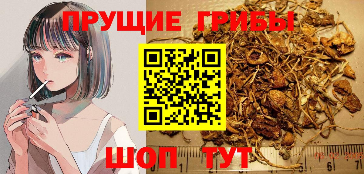 Мирный  Галлюциногенные грибы мухоморы  Вход с VPN 